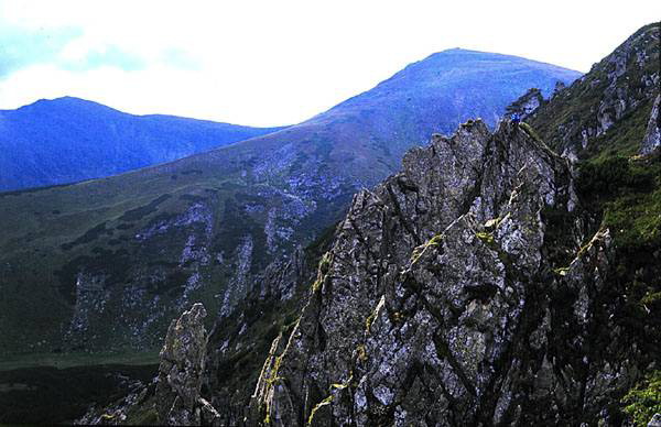 Image - A Carpathian National Nature Park landscape.